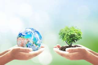 World environment day concept: Two human hands holding earth globe and big tree over blurred nature background. Elements of this image furnished by NASA