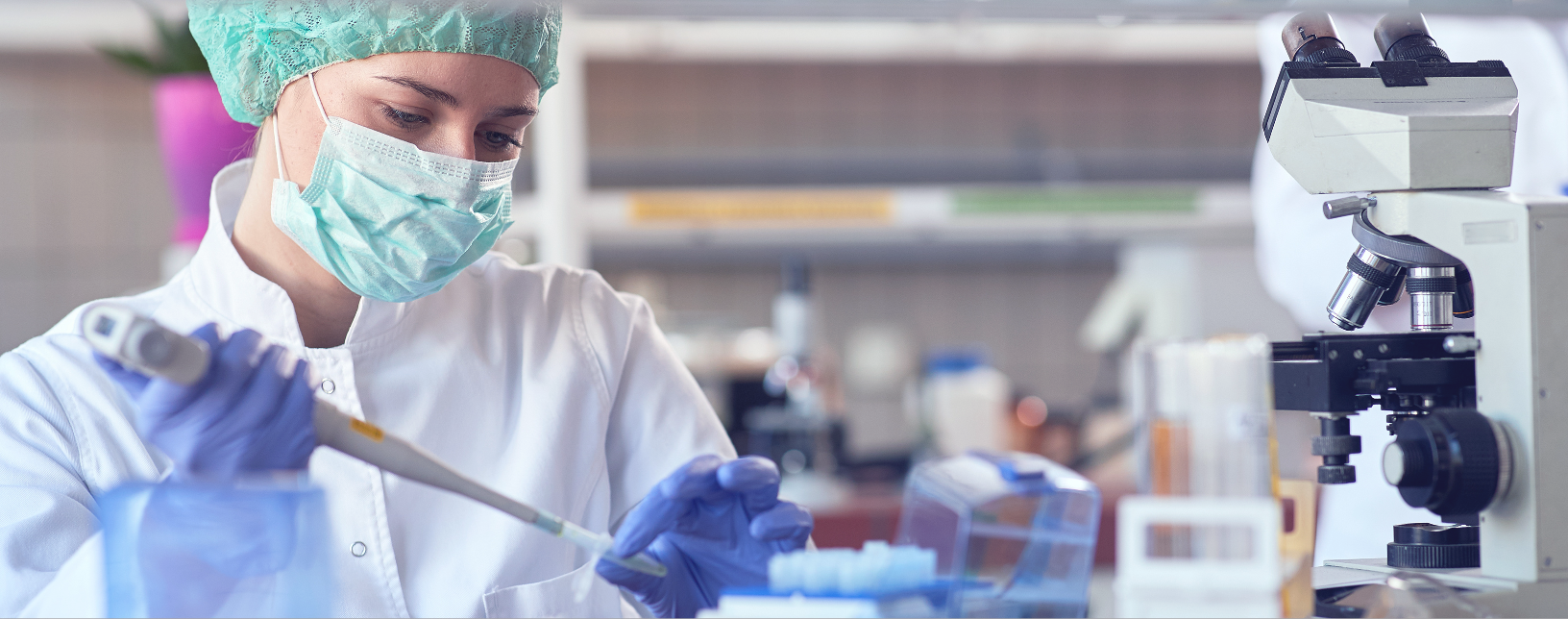 BestPractice liefert Forschungsmaterialien