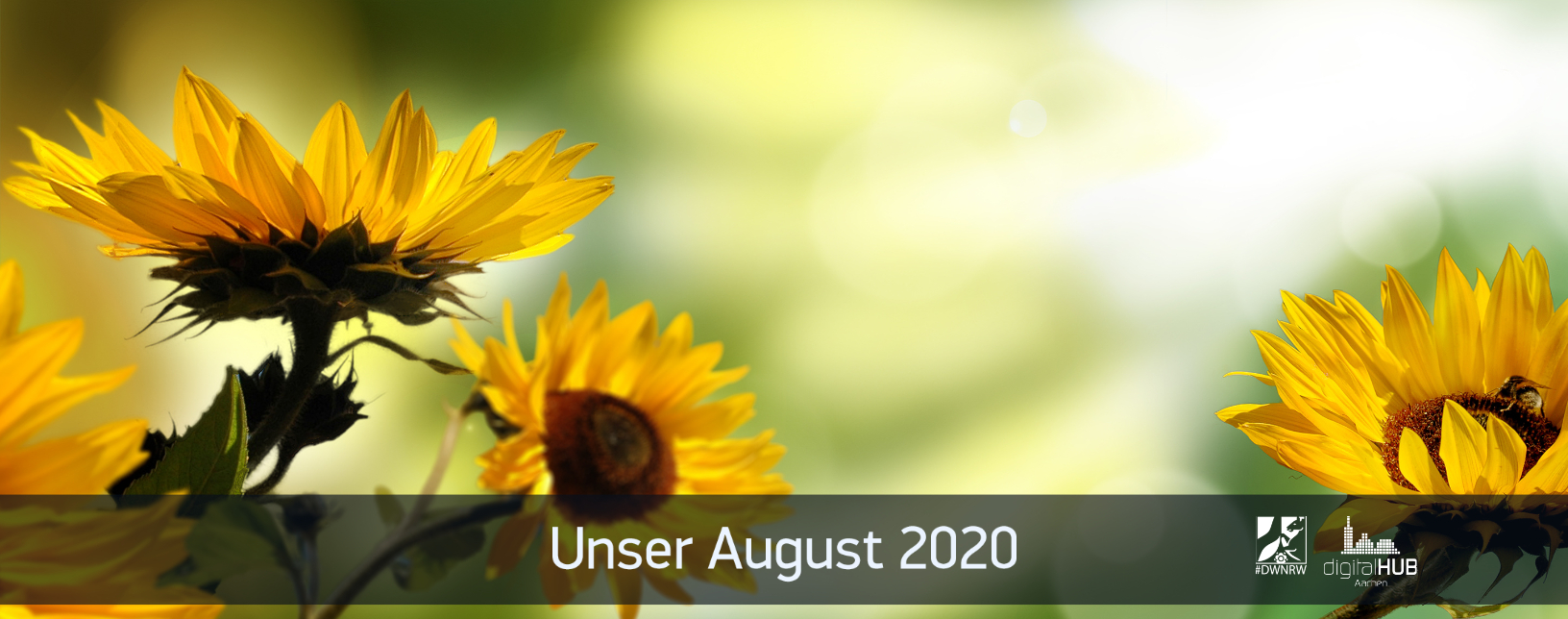 Unser August - Rückblick - digitalHUB Aachen